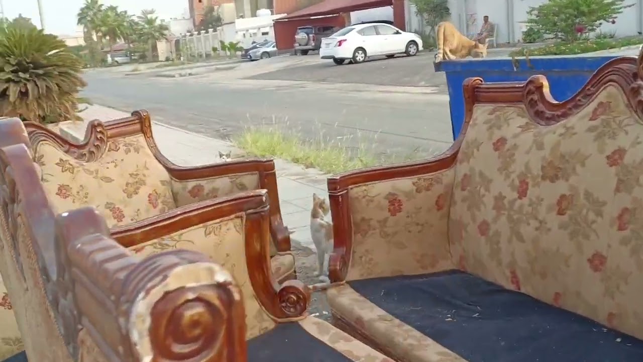 ഇങ്ങനത്തെ സാധനങ്ങളാണ്ഒഴിവാക്കുന്നത്