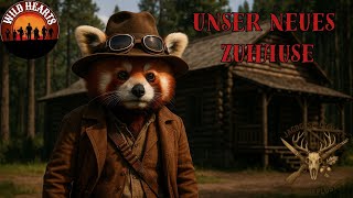 Download Lagu Wild Hearts Das Siedeln ist abgeschlossen – jetzt beginnt das Abenteuer! MP3 Download Lagu Wild Hearts Das Siedeln ist abgeschlossen – jetzt beginnt das Abenteuer! MP3