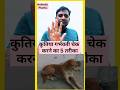 Kutiya 5 Garbhvati Chek karne ka tarika | female dog pregnant | डॉग गर्भवती | #shorts #shortsfeed