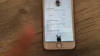 Guys She Scammed Me For My Fly Ride Neon Crow And My Fly King Bee Im Crying Her User Is Tbhhmaddie