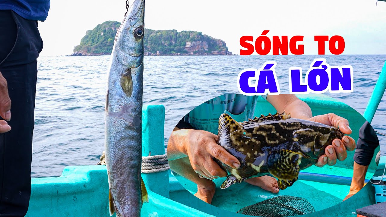 Săn Tìm Cá Lớn, Ra Khơi Sau Thời Gian Dài Trong Rừng