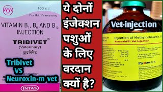 Neuroxin-m vet VS Tribivet injection|| Donu mein better konsa h||ye injection kin Disease mein kaam