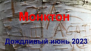 Дождливый июнь 2023. Монктон, Нью Брансуик, Канада. Планы на поездку.