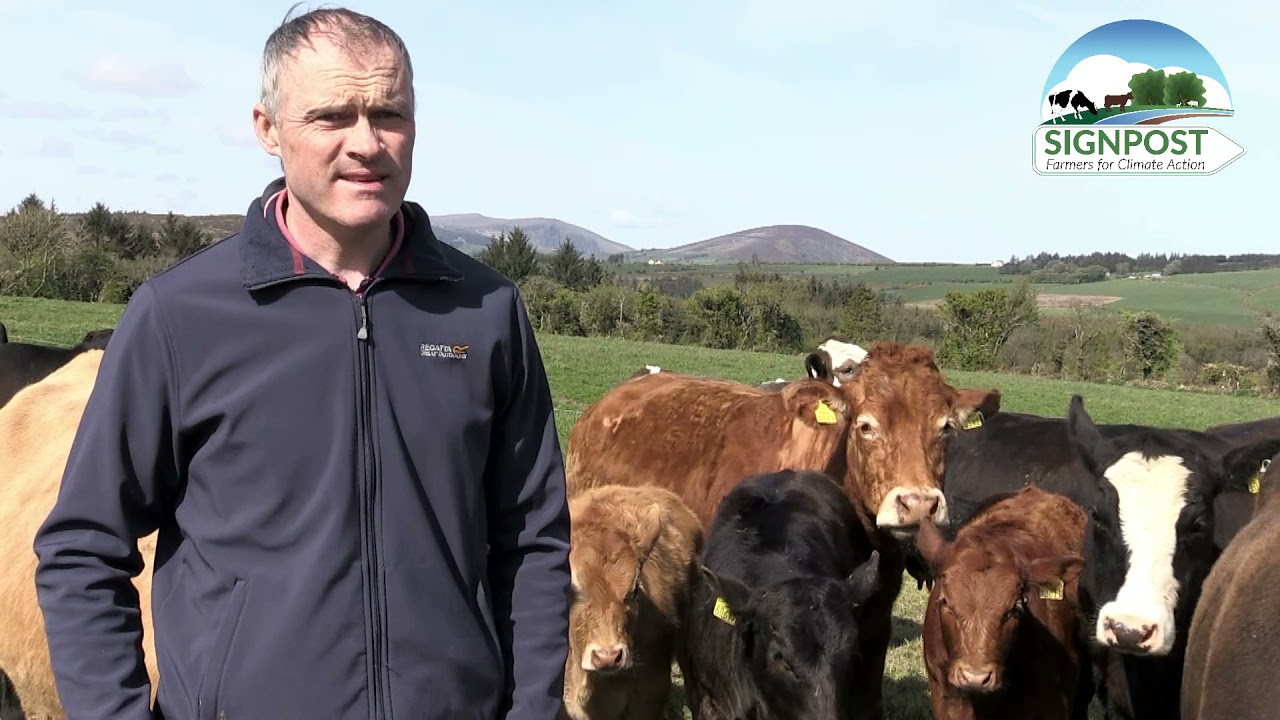 Ger McSweeney - A Signpost Programme Farmer - Beef