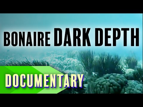 BONAIRE: DARK DEPTH