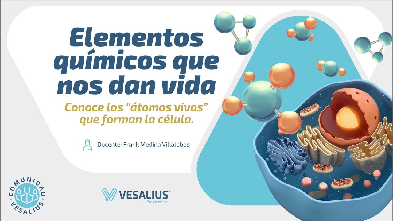 CLASE MAGISTRAL: ELEMENTOS QUÍMICOS QUE NOS DAN VIDA