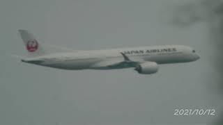 オールドレンズで野鳥動画　DMC-G3 3000mm セグロセキレイ 20211012