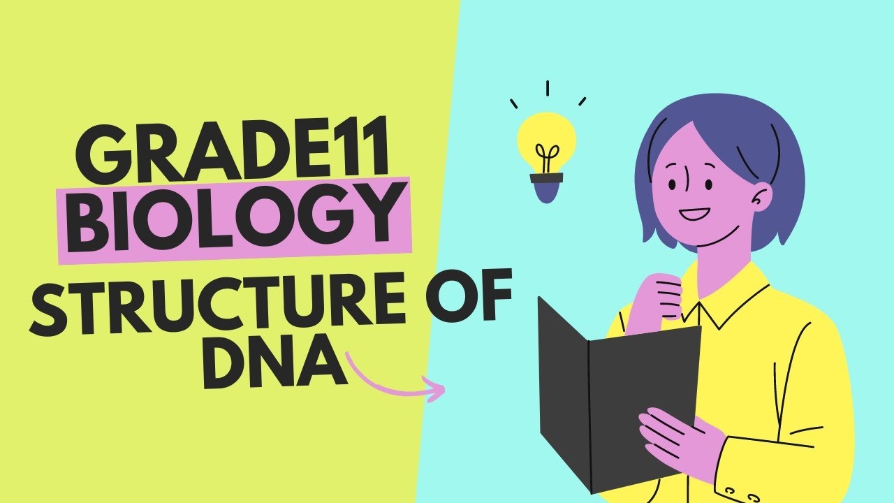 Grade11unit4 Biology structure and function of DNA|በአማረኛ| - YouTube
