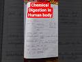 Chemical Digestion In Human body