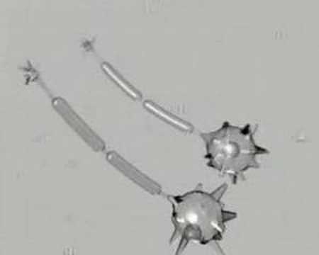 NeuroMythosis