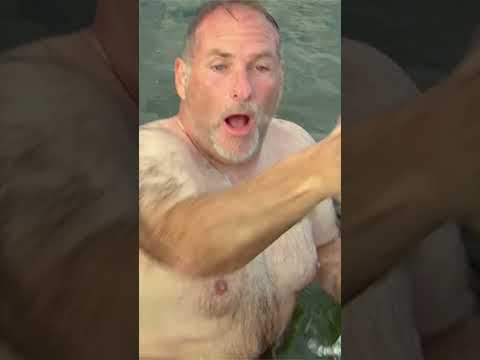 Dock Collapsed 💦  | Just For Laughs Gags