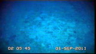 20110901Rockall Tow9a 11