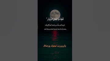 #المصحف #الرحمن#اكسبلور اللهم اجعل القرآن الكريم ربيع قلوبنا ونور صدورنا ⭐
