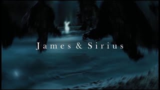 James & Sirius | In This Shirt