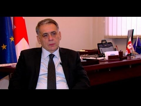 ოპოზიცია: რომან კაკულიას მხრიდან ეს განცხადება უხერხულია