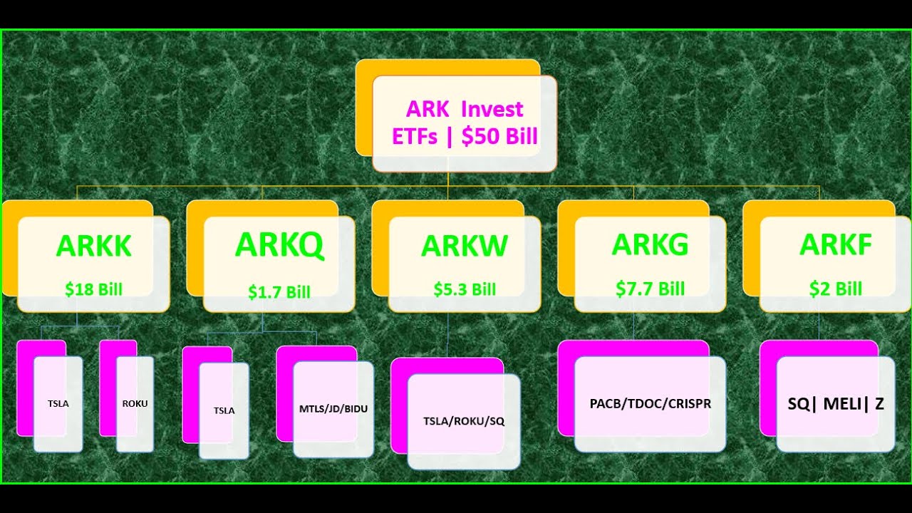 Which ARK Invest ETF Is Best (For You) YouTube