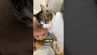 O Segredo Da Paciência Dos Gatos Com Crianças