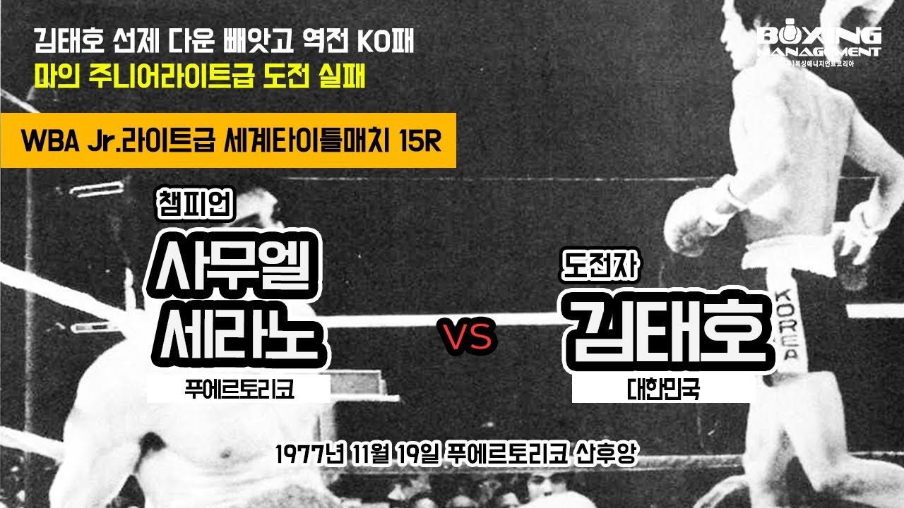 김태호 선제 다운 빼앗고 역전 KO패 – 마의 Jr.라이트급 세계도전 물거품 / Samuel Serrano vs Tae Ho Kim - WBA title