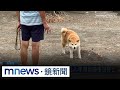 社會事件與反應