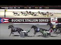 Don'ttouchmytruck - Buckeye Stallion Series