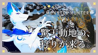 【モンスターハンターワイルズ/参加型】アプデ前の参加型だよー！