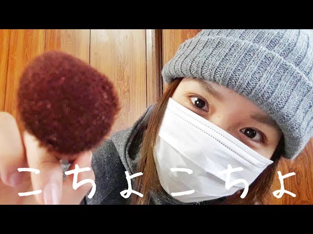 【ASMR】こしょこしょ囁きながらブラシでこちょこちょ😊