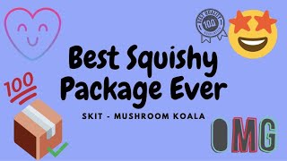 BEST SQUISHY PACKAGE EVER - Homemade (skit / spoof)