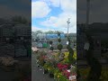 Garden World on Francis Lewis Blvd in Queens #icclifecoach #newyork #flowers #lucythomasmusic