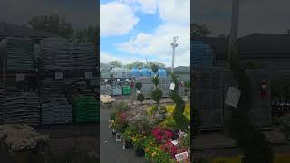 Garden World on Francis Lewis Blvd in Queens #icclifecoach #newyork #flowers #lucythomasmusic