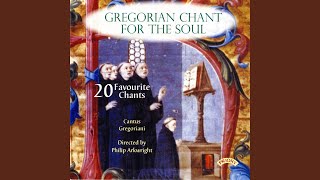 Introduction: In Nomine Patris, et Filii, et Spiritus Sancti