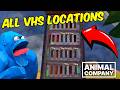 Every VHS Location In Animal Company!!!