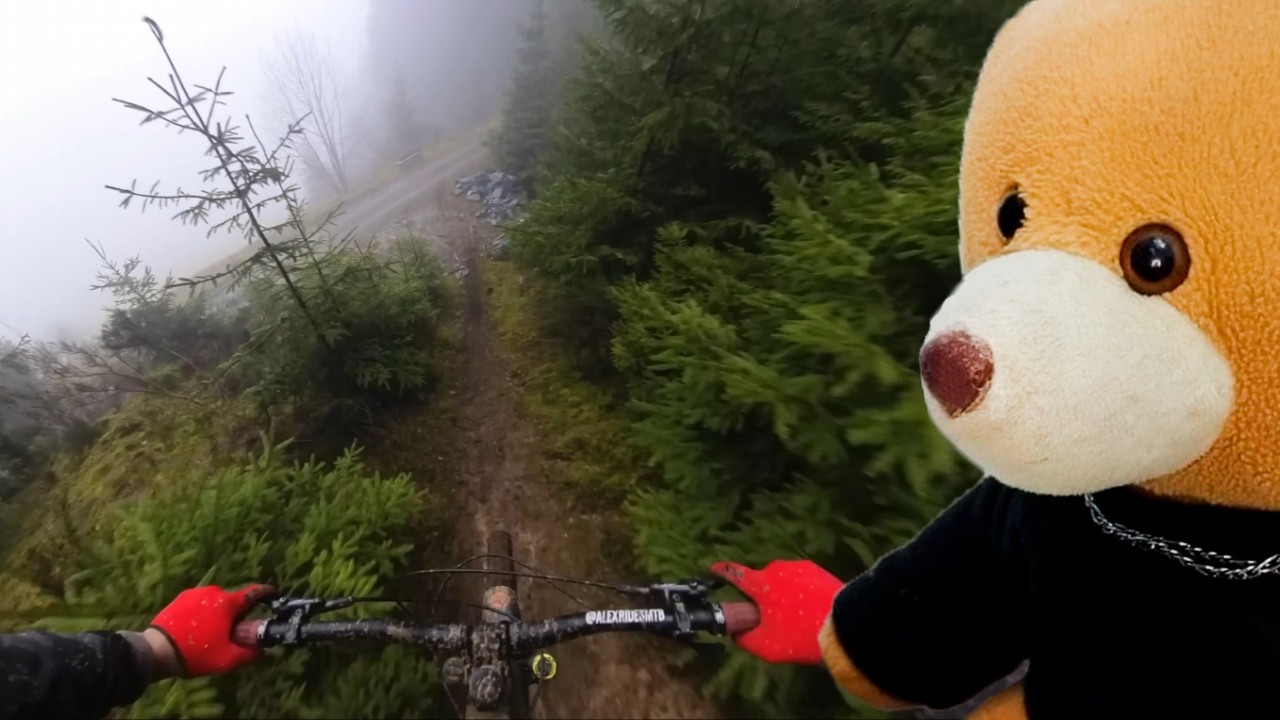 VOCÊ TERIA CORAGEM DE DESCER ESSA MONTANHA DE BIKE? React