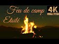 Un Crépitement Du Feu Unique Sous Un Ciel étoilé Instant De Silence Sagesse Et D Apaisement 4K