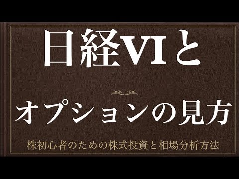 [動画で解説] 日経VIとオプションの見方