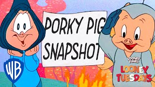 Porky Pig Snapshot | Looney Tuesdays | WB Kids