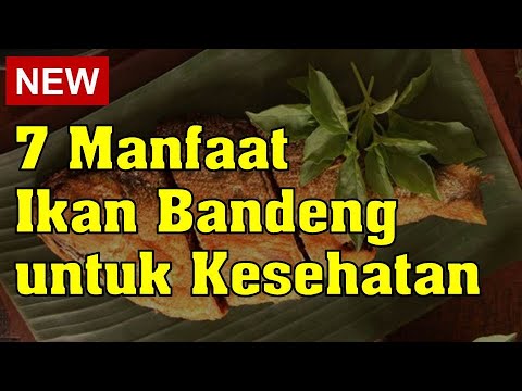 Ikan Bandeng Mengandung Vitamin Apa