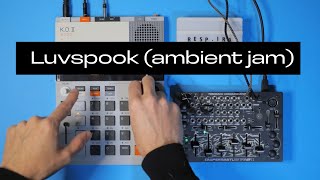EP 133 and SP2 | Luvspook (KO II and Softpop 2 Harsh Ambient Performance)
