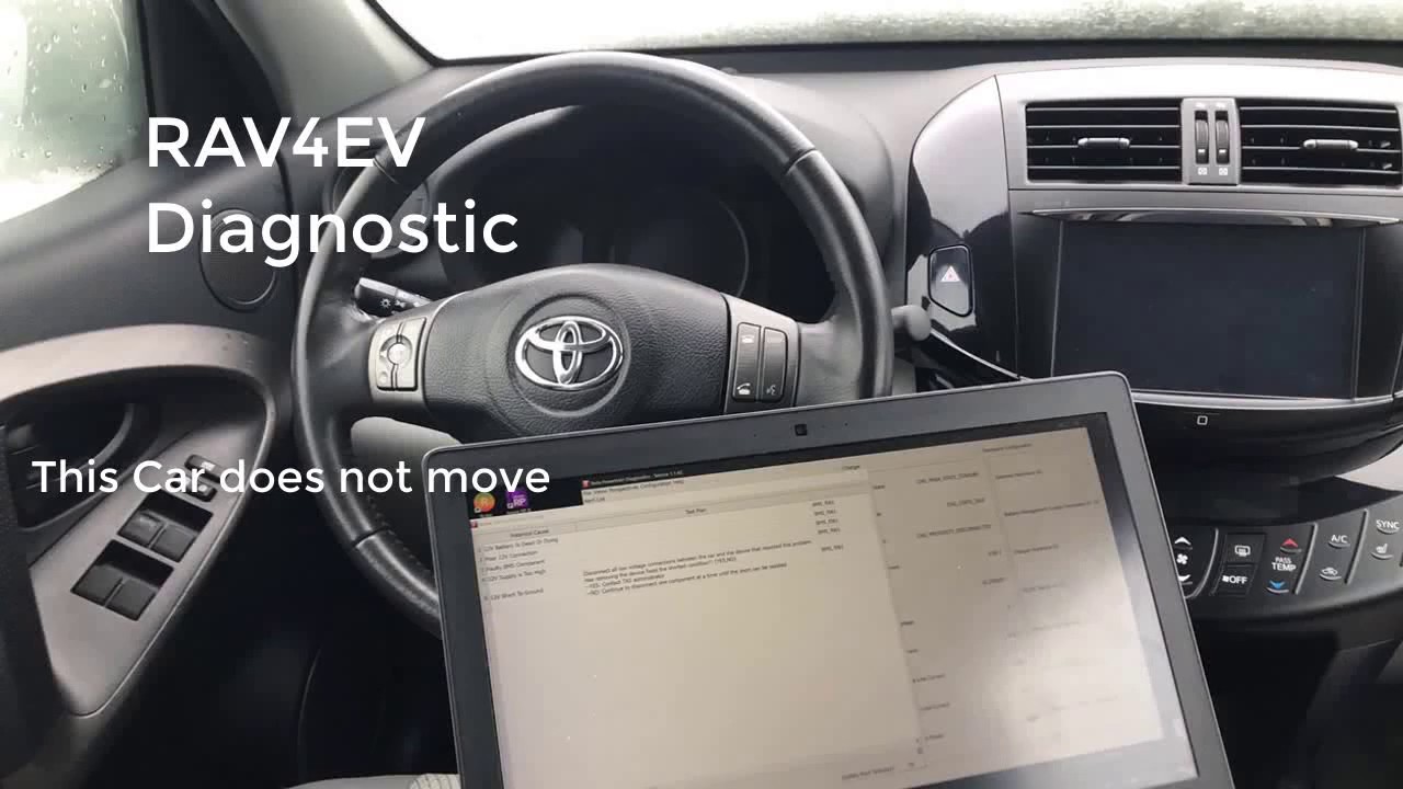 RAV4EV Diagnostic