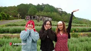 Download Lagu ✨ Xin chào from Da Lat, Vietnam! 🇻🇳💖 Another Vietnam city that we are enjoying so much. MP3 Download Lagu ✨ Xin chào from Da Lat, Vietnam! 🇻🇳💖 Another Vietnam city that we are enjoying so much. MP3