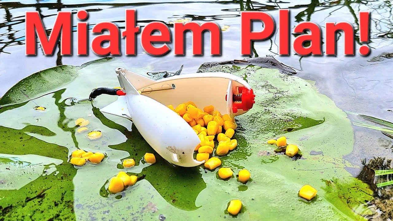 Największa złota rybka! Nęcenie rakietą pomogło! Method Feeder! Wędkarstwo na PZW