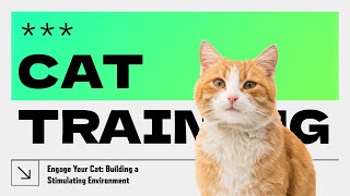 Engage Your Cat: Building a Stimulating Environment #catcare