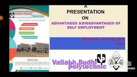 (2) SUB-SEED (UNIT-1) (Chap-1) TOPIC- ADVANTAGES & DISADVANTAGES OF SELF EMPLOYMENT