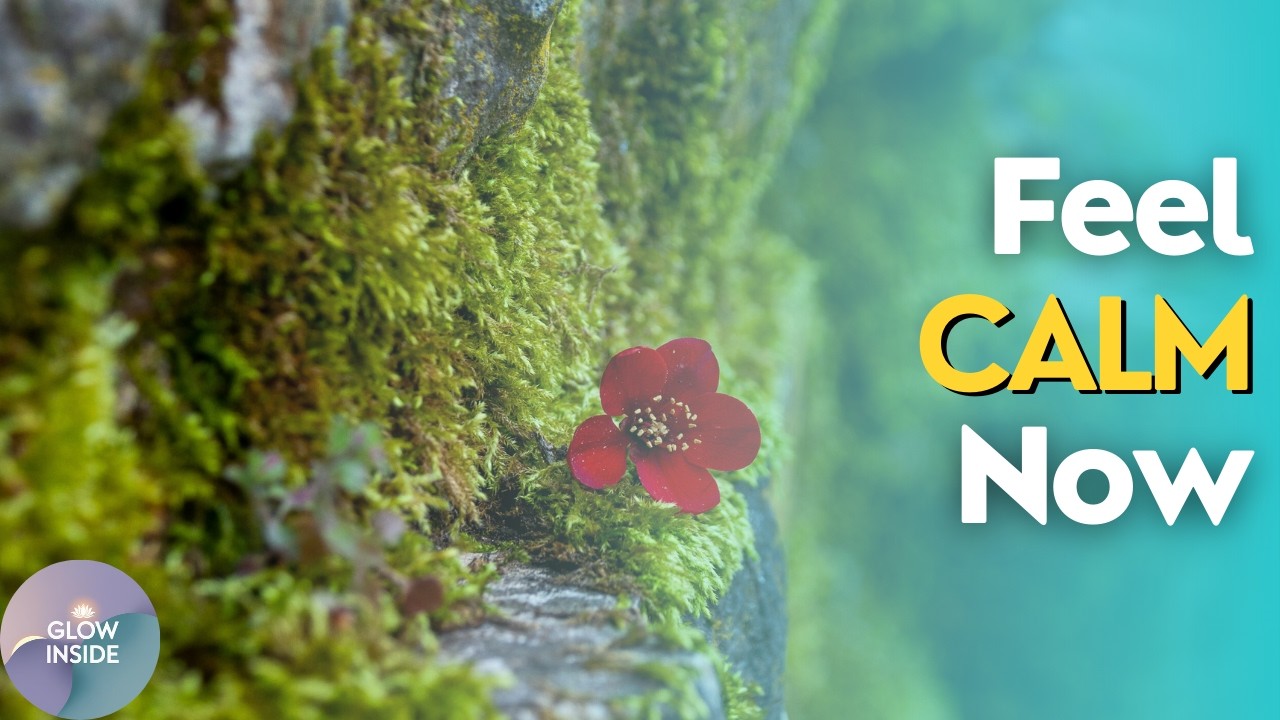 Feel Safe Right Now | 5 Minute Guided Meditation for Calm - YouTube