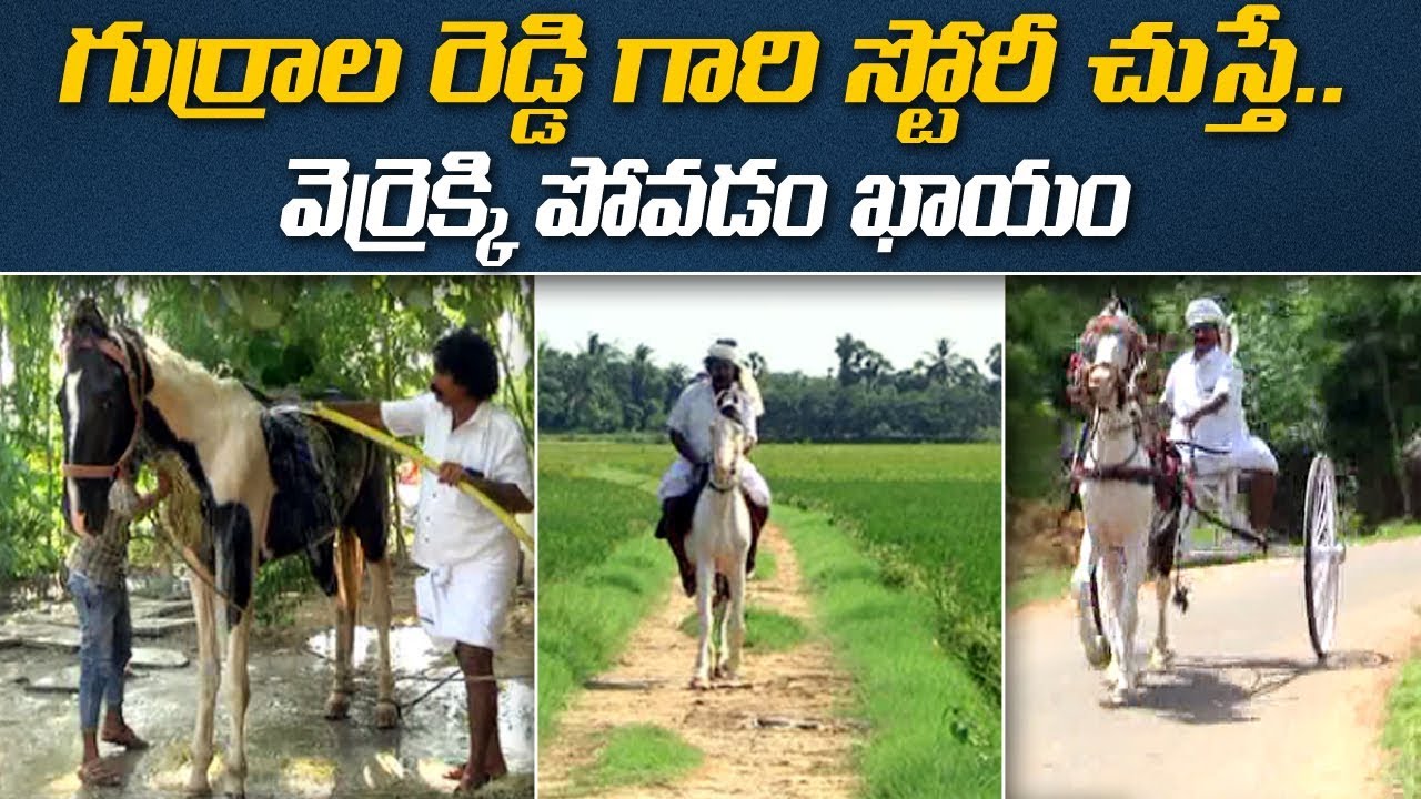 గుర్రాల రెడ్డి గారి స్టోరీ చుస్తే...  వెర్రెక్కి పోవడం ఖాయం  | ABN Telugu