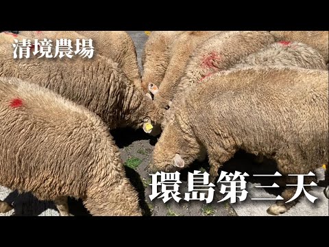 中橫斷了!什麼四天三夜環半島!我們根本環不了島啊!|清境農場(cc字幕)