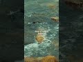 The ocean at night hits different. 🌊🌑 #OceanAmbience #DarkAesthetic #deepsea