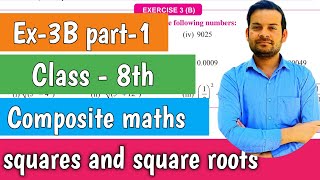 Exercise 3B Class 8 | Composite Maths | Square and #SquareRoots @ntrsolutions