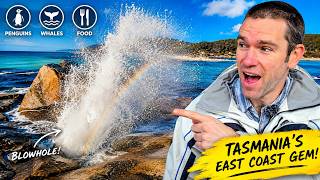 Bicheno Tasmania Travel Guide | Best Things to Do in Bicheno