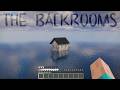 I Added The Backrooms Movie into Minecraft...