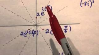 Complex Power Function 7 Case 2